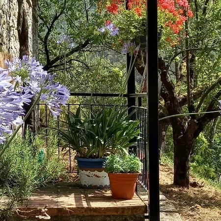 Ai Sugheri Apartment Deiva Marina