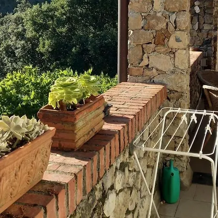 Ai Sugheri *